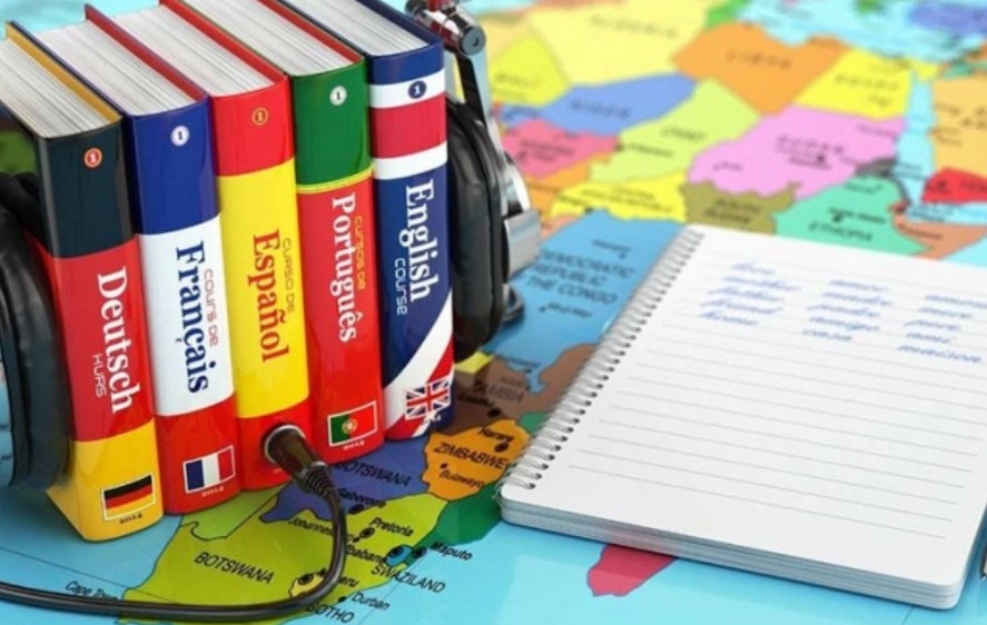 Professional translation services